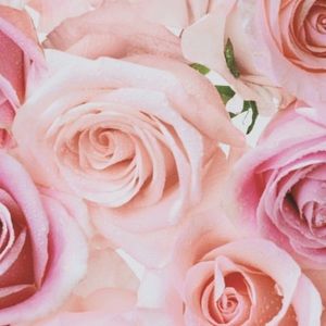 Meet your Posher, Nelly